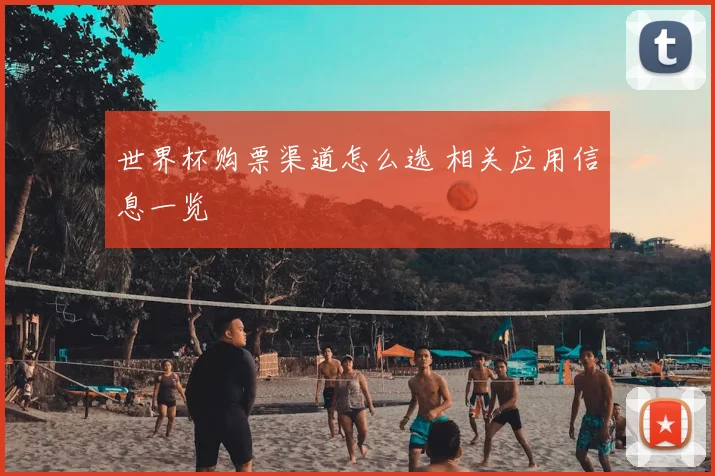 世界杯购票渠道怎么选 相关应用信息一览