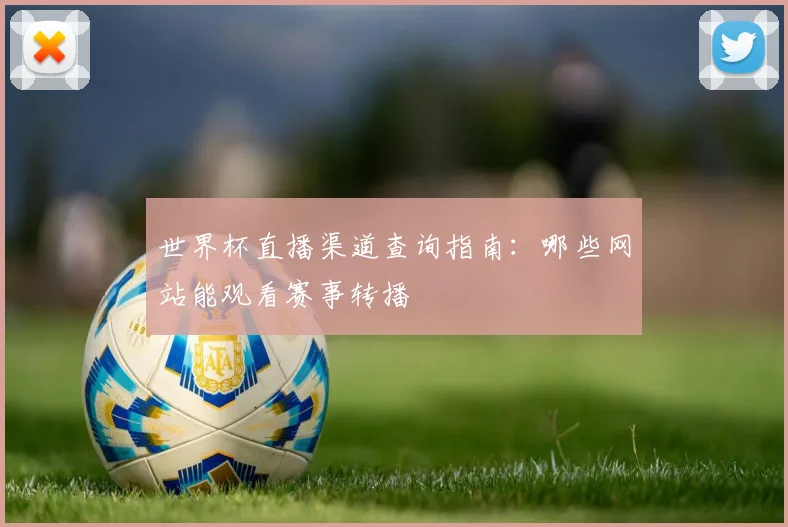 世界杯直播渠道查询指南：哪些网站能观看赛事转播