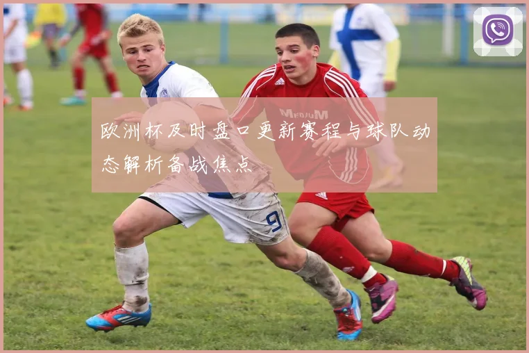 欧洲杯及时盘口更新赛程与球队动态解析备战焦点