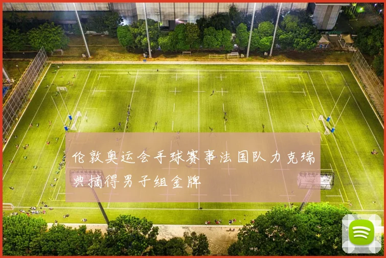 伦敦奥运会手球赛事法国队力克瑞典摘得男子组金牌