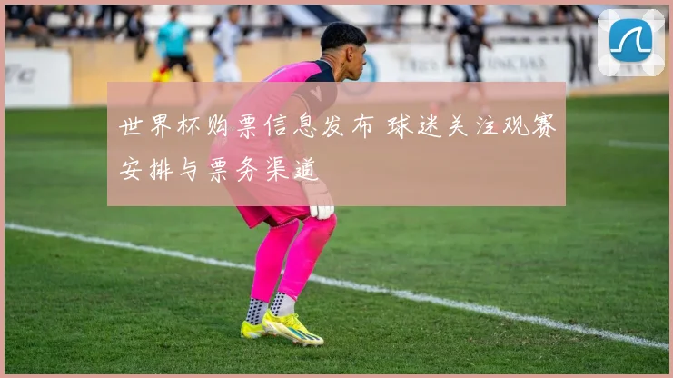 世界杯购票信息发布 球迷关注观赛安排与票务渠道