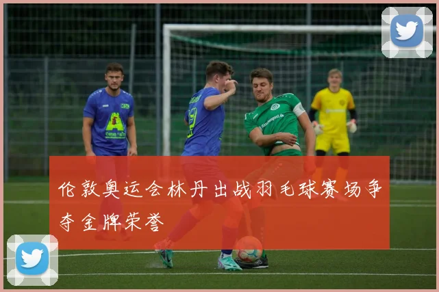 伦敦奥运会林丹出战羽毛球赛场争夺金牌荣誉