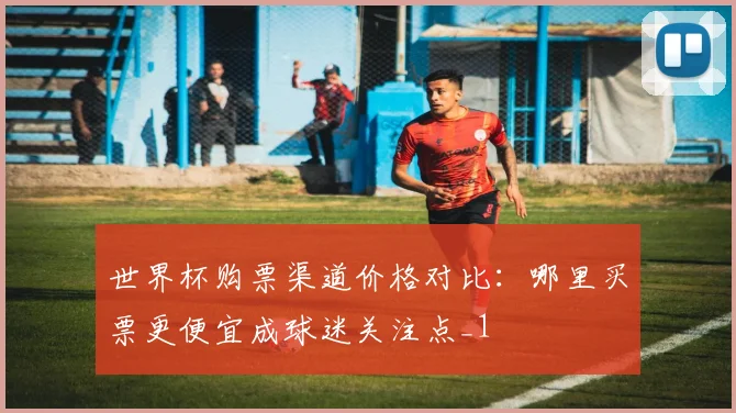 世界杯购票渠道价格对比:哪里买票更便宜成球迷关注点_1